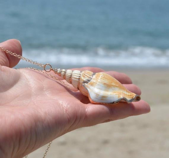 Shell Necklace - WikiWii
