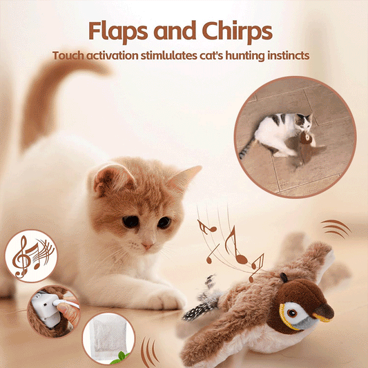 🐾Interactive Chirping Bird Cat Toy