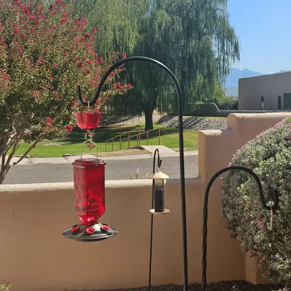 🔥 One time offer- Get another Hummingbird Feeder just for $14.99