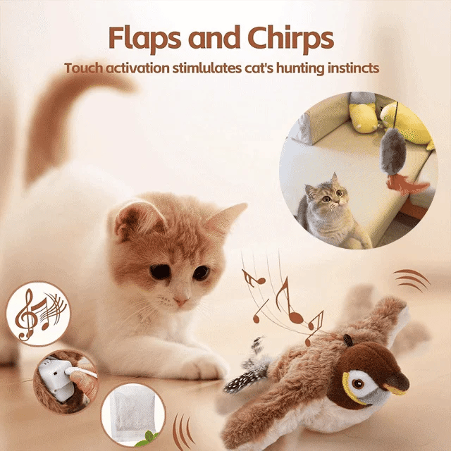 🐾Interactive Chirping Bird Cat Toy