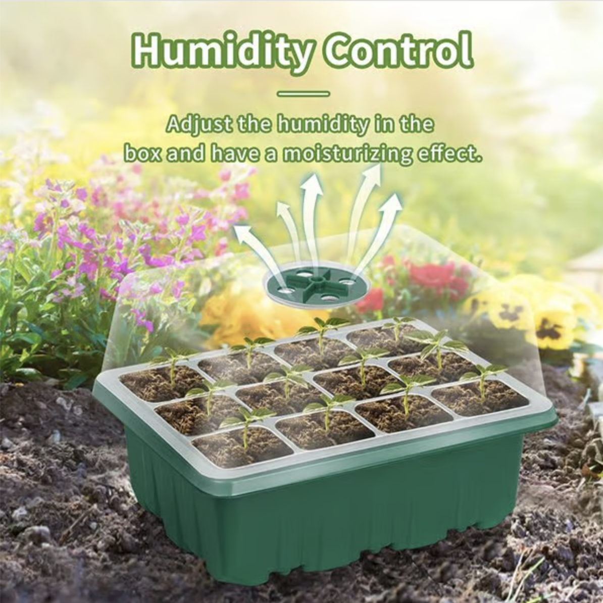 Seed Starter Trays with Grow Light 2025