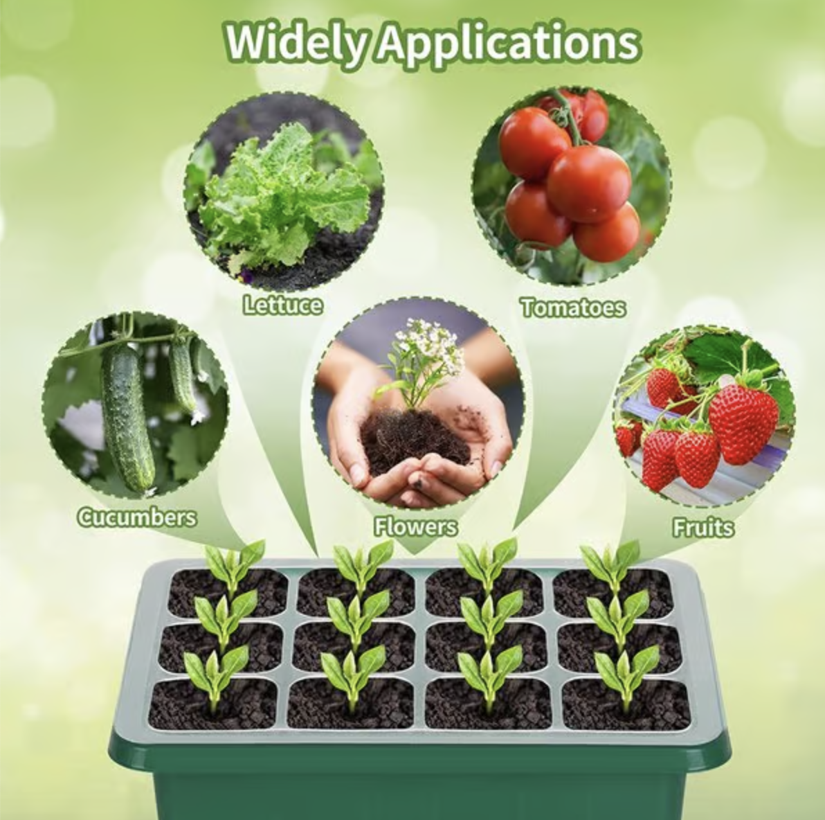 Seed Starter Trays with Grow Light 2025