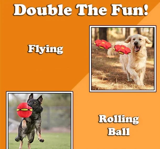 The Doggy Disc Ball