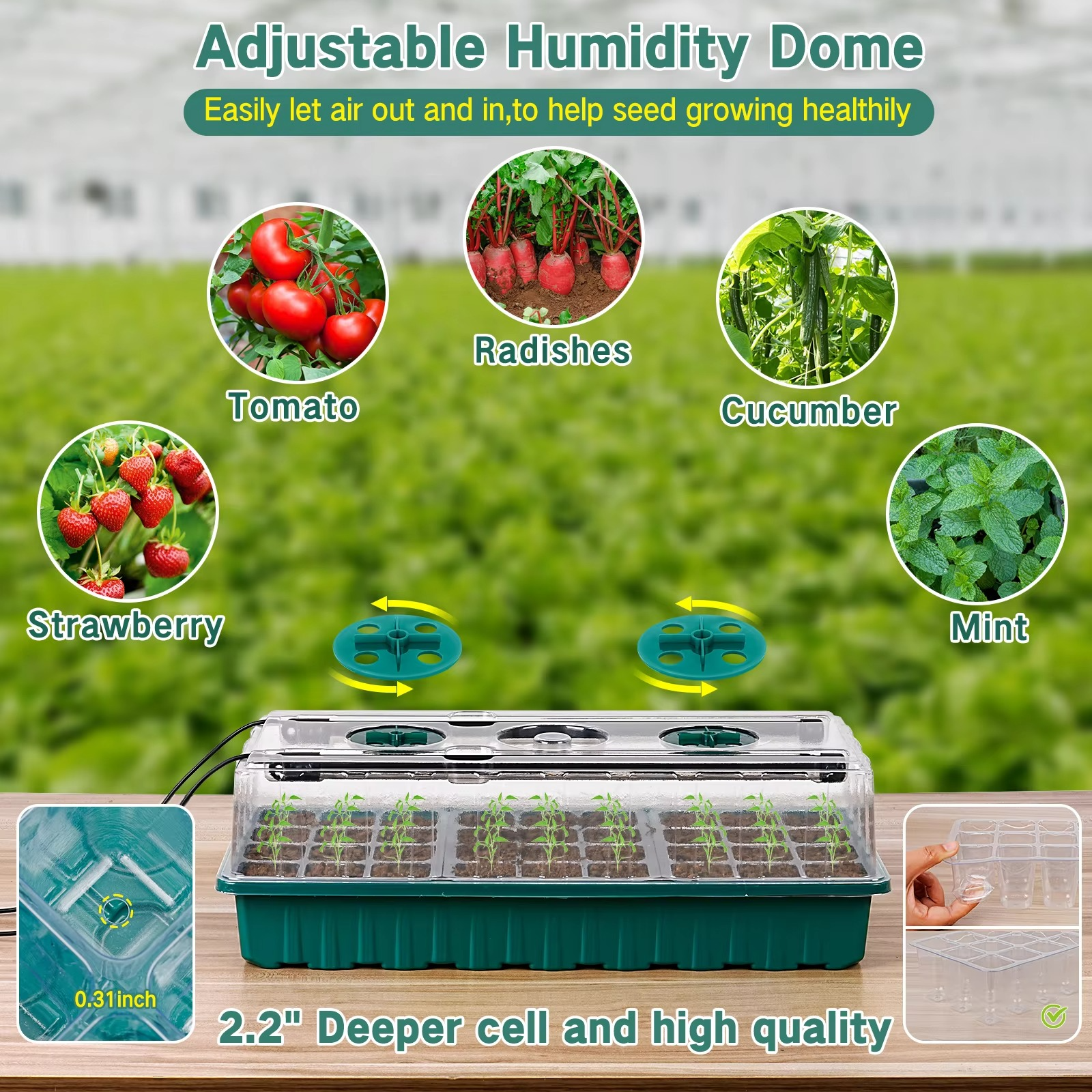 Seed Starter Trays with Grow Light 2025