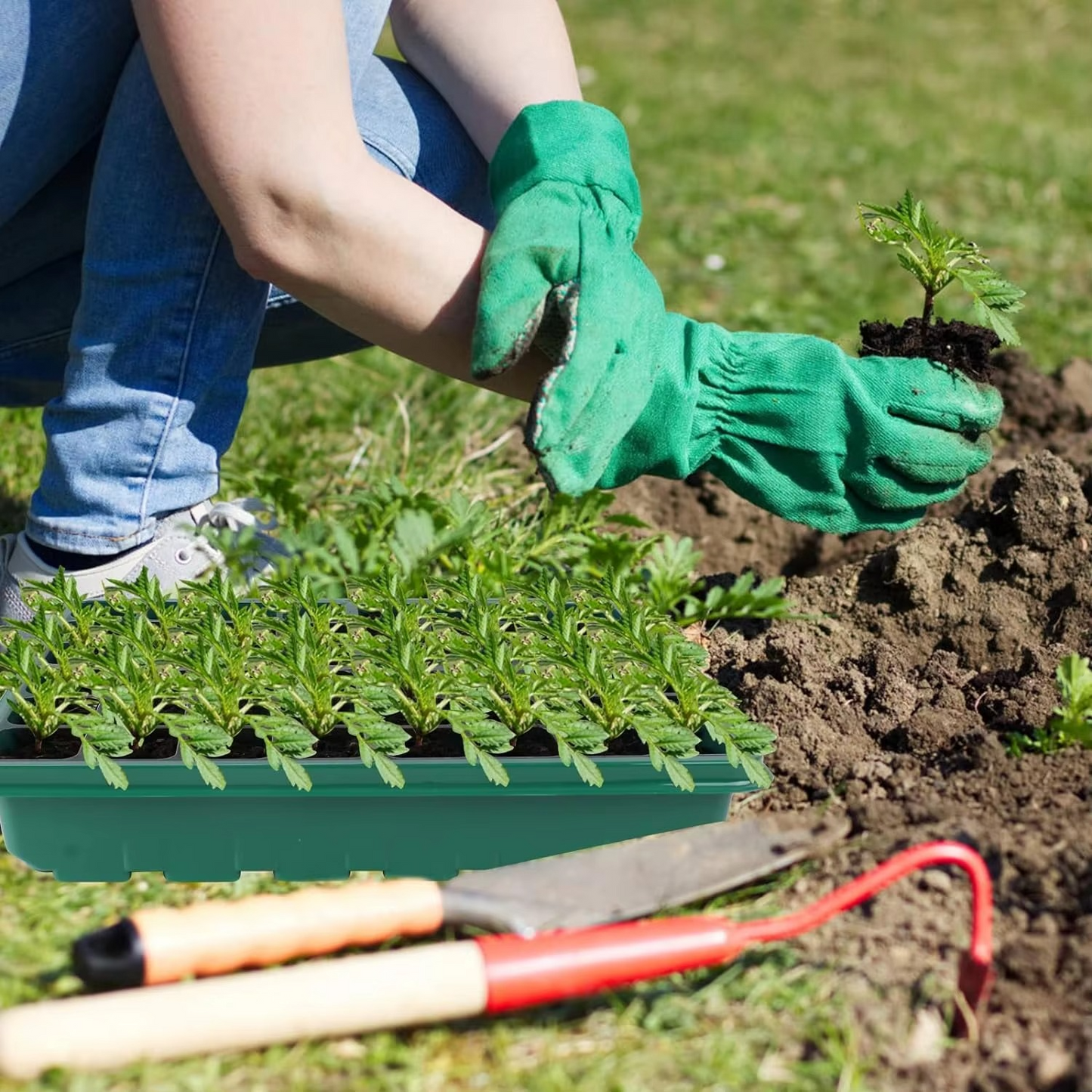 Seed Starter Trays with Grow Light 2025