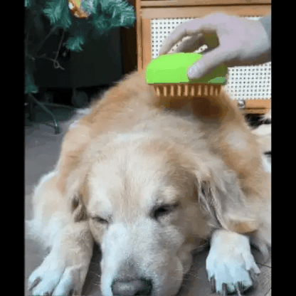 3 in 1 Dog Steam Brush