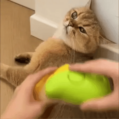 3 in 1 Dog Steam Brush